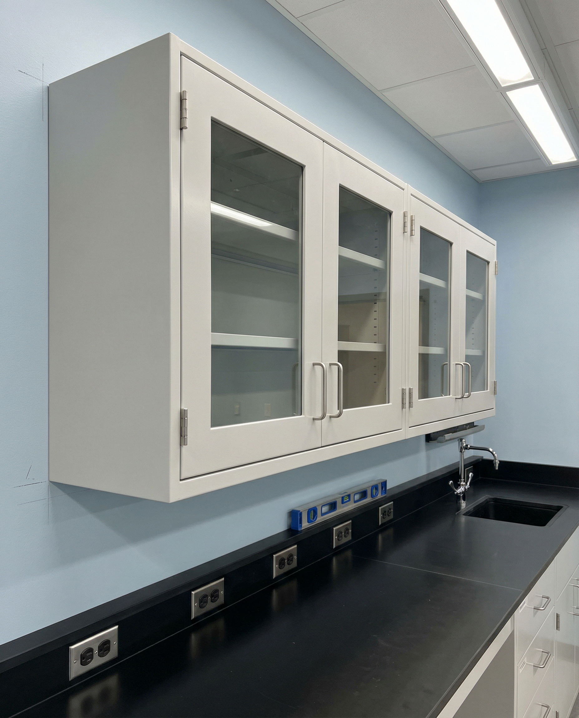 Overhead Glass Storage Cabinet