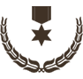 Industry Achievement Award 3